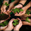 C1_advocacy