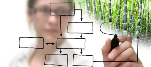 Biofuels Project Management